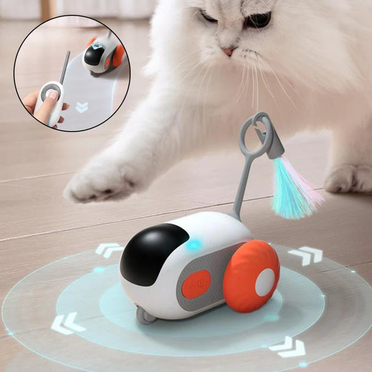 USB Remote Control Interactive Cat Toy